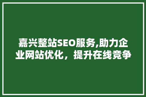 嘉兴整站SEO服务,助力企业网站优化，提升在线竞争力