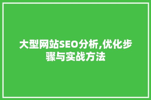大型网站SEO分析,优化步骤与实战方法