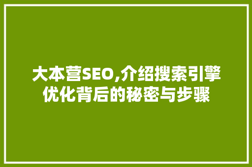 大本营SEO,介绍搜索引擎优化背后的秘密与步骤
