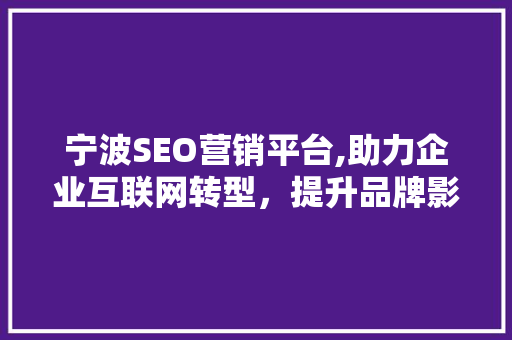宁波SEO营销平台,助力企业互联网转型，提升品牌影响力
