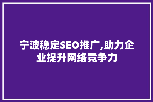 宁波稳定SEO推广,助力企业提升网络竞争力