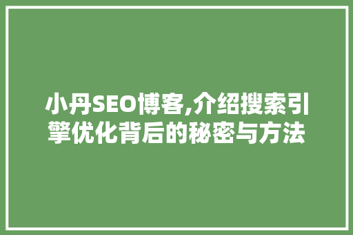 小丹SEO博客,介绍搜索引擎优化背后的秘密与方法