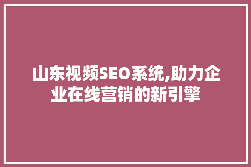 山东视频SEO系统,助力企业在线营销的新引擎