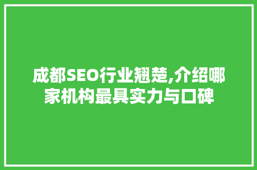 成都SEO行业翘楚,介绍哪家机构最具实力与口碑