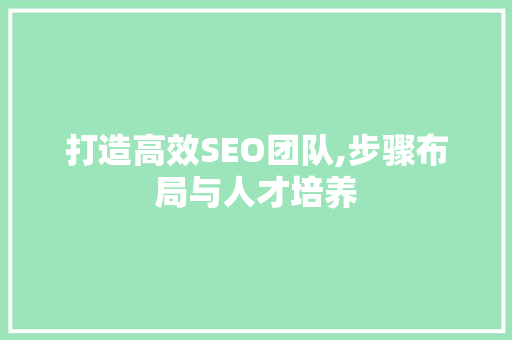 打造高效SEO团队,步骤布局与人才培养