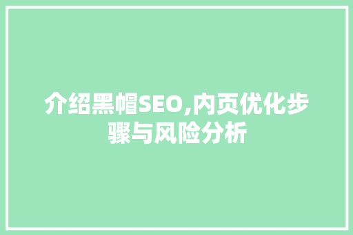 介绍黑帽SEO,内页优化步骤与风险分析