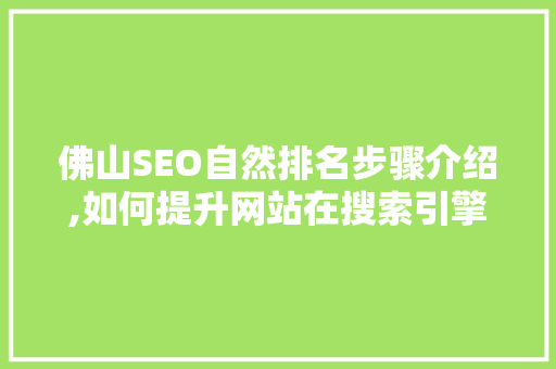 佛山SEO自然排名步骤介绍,如何提升网站在搜索引擎中的自然排名