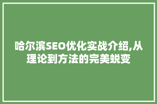 哈尔滨SEO优化实战介绍,从理论到方法的完美蜕变