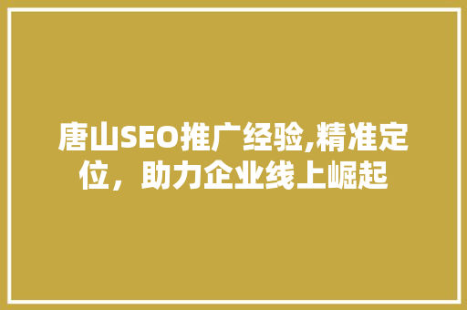 唐山SEO推广经验,精准定位，助力企业线上崛起