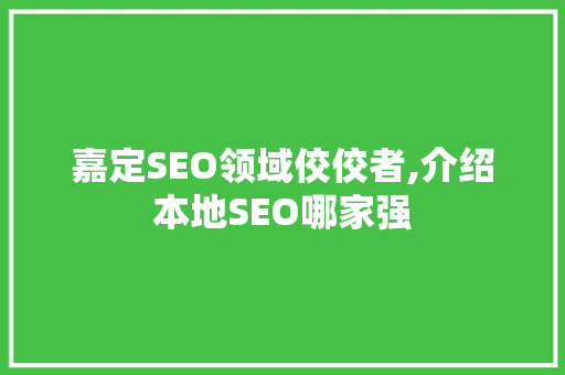 嘉定SEO领域佼佼者,介绍本地SEO哪家强
