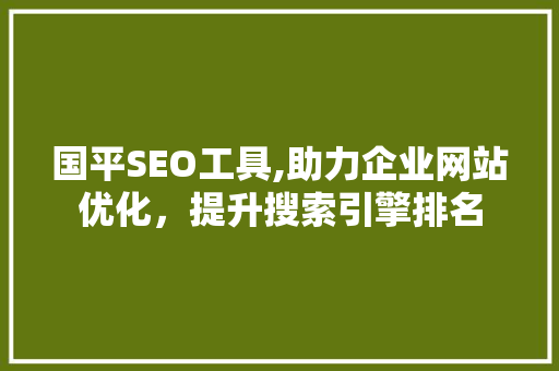 国平SEO工具,助力企业网站优化，提升搜索引擎排名