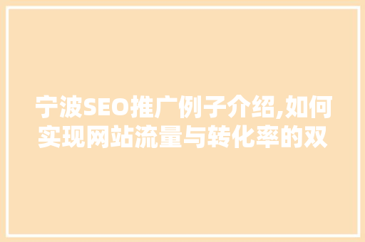 宁波SEO推广例子介绍,如何实现网站流量与转化率的双提升