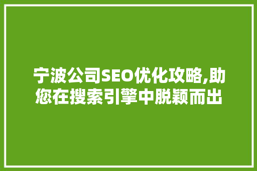 宁波公司SEO优化攻略,助您在搜索引擎中脱颖而出