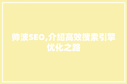 帅波SEO,介绍高效搜索引擎优化之路
