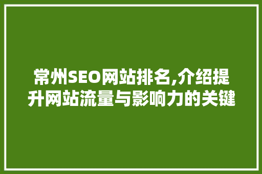 常州SEO网站排名,介绍提升网站流量与影响力的关键步骤