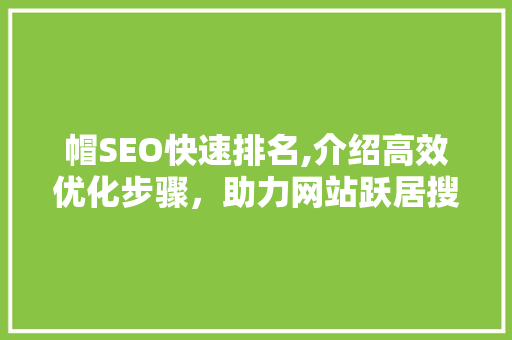 帽SEO快速排名,介绍高效优化步骤，助力网站跃居搜索引擎前列