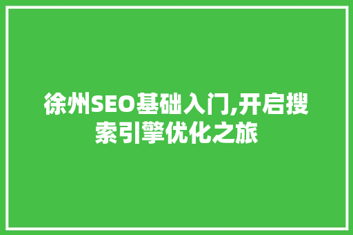 徐州SEO基础入门,开启搜索引擎优化之旅