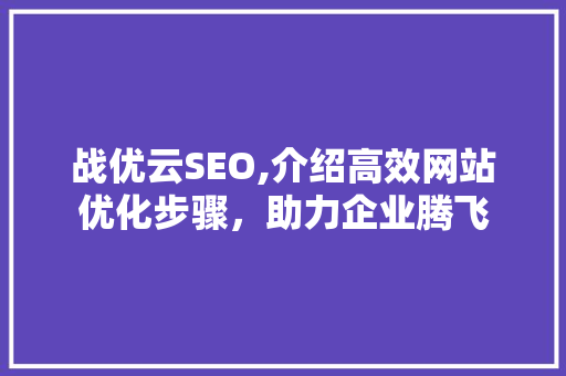 战优云SEO,介绍高效网站优化步骤，助力企业腾飞