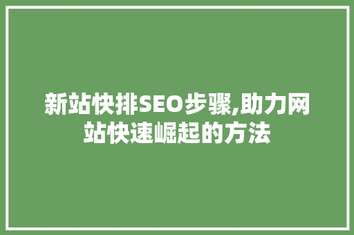 新站快排SEO步骤,助力网站快速崛起的方法