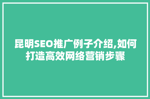 昆明SEO推广例子介绍,如何打造高效网络营销步骤