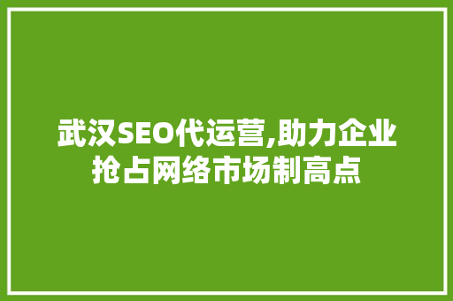 武汉SEO代运营,助力企业抢占网络市场制高点