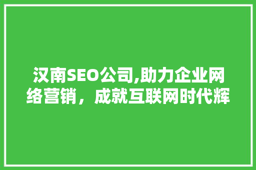 汉南SEO公司,助力企业网络营销，成就互联网时代辉煌