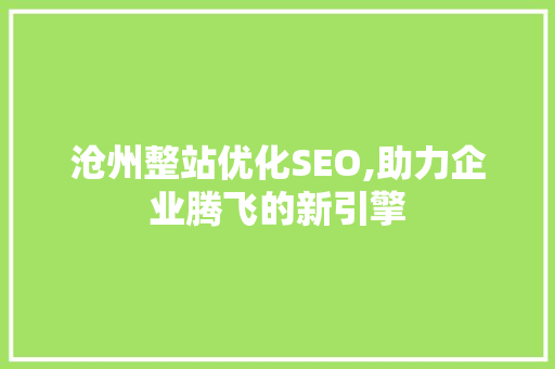 沧州整站优化SEO,助力企业腾飞的新引擎