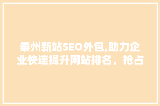 泰州新站SEO外包,助力企业快速提升网站排名，抢占市场先机