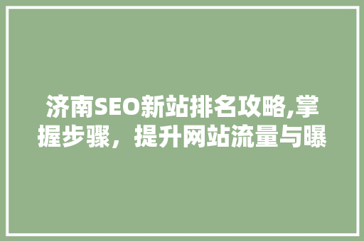 济南SEO新站排名攻略,掌握步骤，提升网站流量与曝光