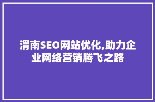 渭南SEO网站优化,助力企业网络营销腾飞之路
