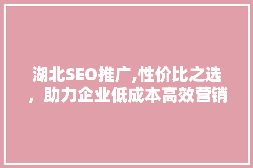 湖北SEO推广,性价比之选，助力企业低成本高效营销