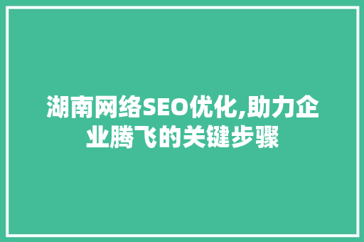 湖南网络SEO优化,助力企业腾飞的关键步骤