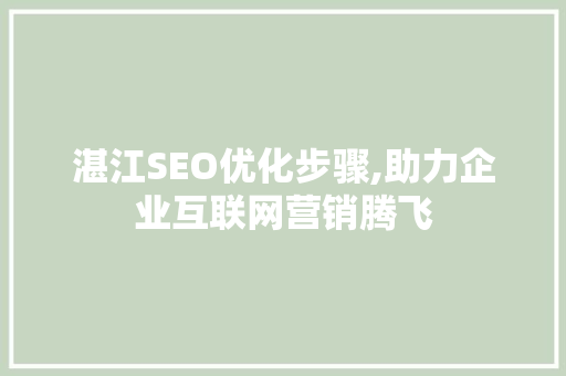 湛江SEO优化步骤,助力企业互联网营销腾飞