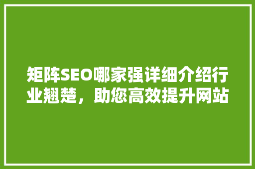 矩阵SEO哪家强详细介绍行业翘楚，助您高效提升网站排名
