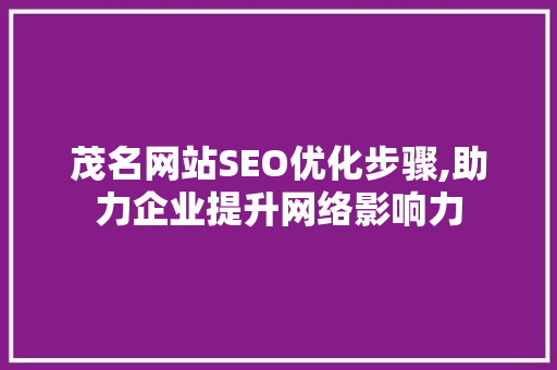 茂名网站SEO优化步骤,助力企业提升网络影响力
