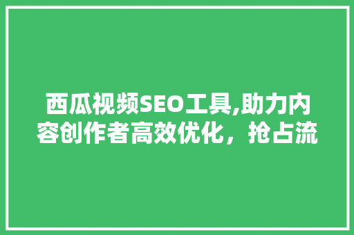 西瓜视频SEO工具,助力内容创作者高效优化，抢占流量高地