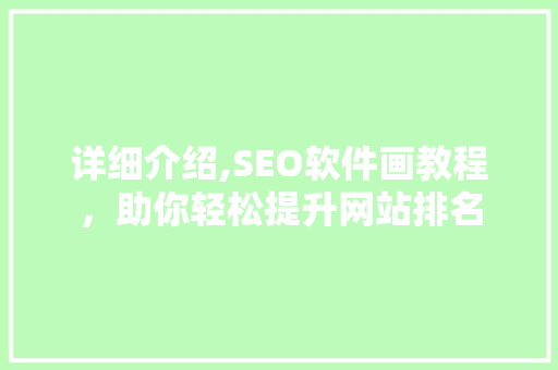 详细介绍,SEO软件画教程，助你轻松提升网站排名