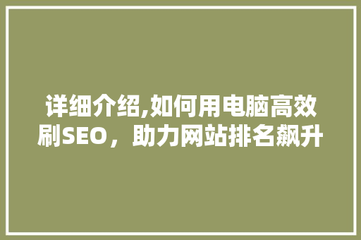 详细介绍,如何用电脑高效刷SEO，助力网站排名飙升