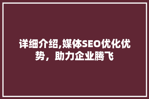 详细介绍,媒体SEO优化优势，助力企业腾飞