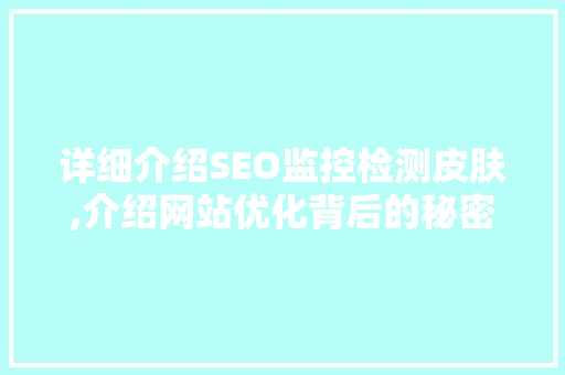 详细介绍SEO监控检测皮肤,介绍网站优化背后的秘密
