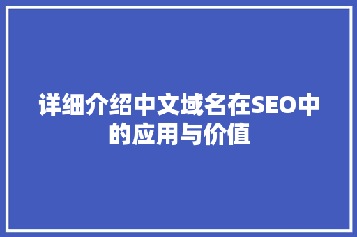 详细介绍中文域名在SEO中的应用与价值