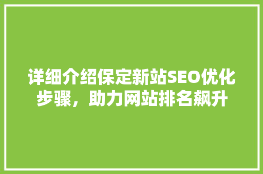 详细介绍保定新站SEO优化步骤，助力网站排名飙升