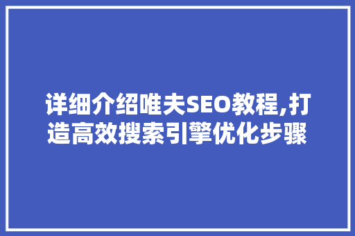 详细介绍唯夫SEO教程,打造高效搜索引擎优化步骤