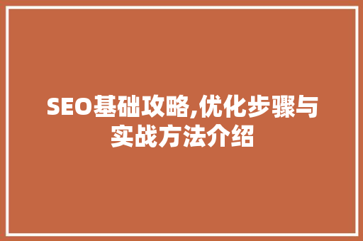 SEO基础攻略,优化步骤与实战方法介绍