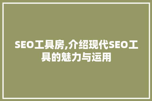 SEO工具房,介绍现代SEO工具的魅力与运用