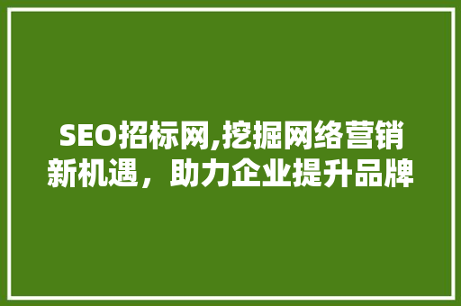 SEO招标网,挖掘网络营销新机遇，助力企业提升品牌影响力