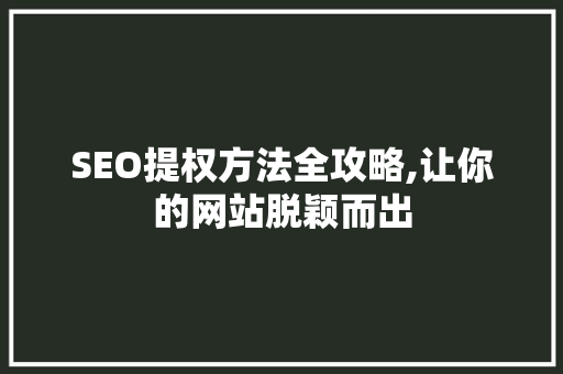 SEO提权方法全攻略,让你的网站脱颖而出  第1张