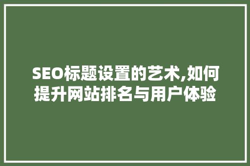 SEO标题设置的艺术,如何提升网站排名与用户体验