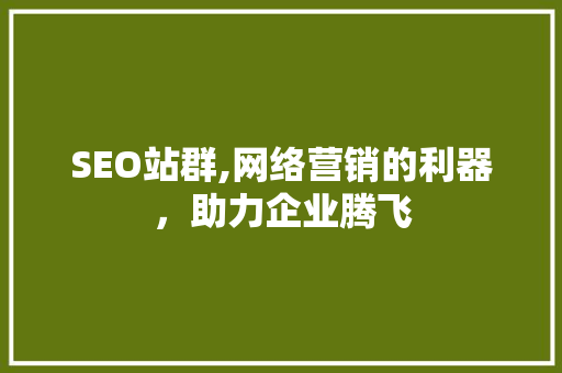 SEO站群,网络营销的利器，助力企业腾飞