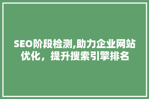 SEO阶段检测,助力企业网站优化，提升搜索引擎排名